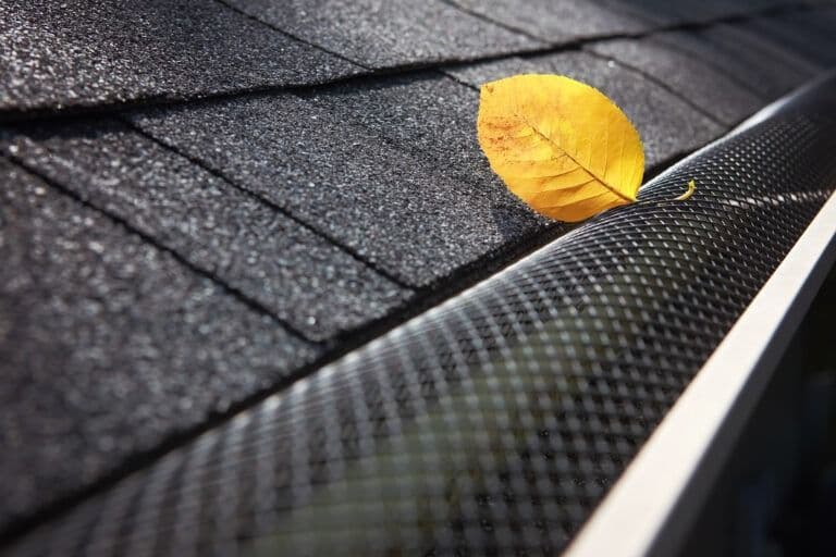 Yellow autumn leaf resting on dark asphalt roof shingles next to gutter guard mesh