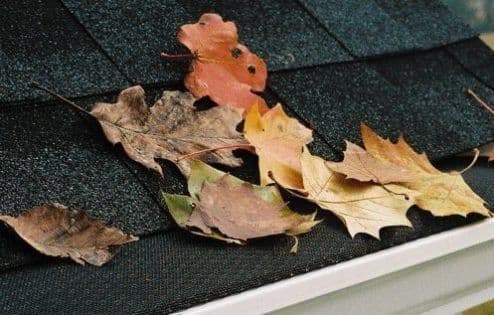Fallen autumn leaves in shades of orange, yellow, and brown resting on a dark roof shingle