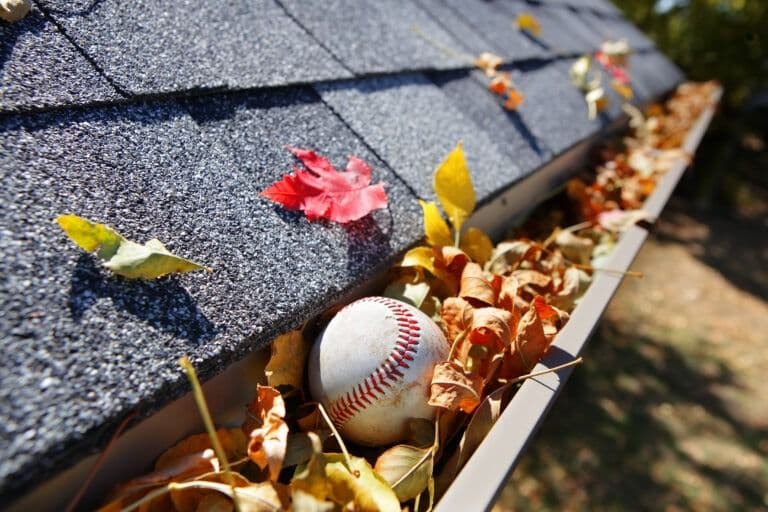 Baseball resting in gutter filled with fall leaves and debris, with roof shingles and pink flower petal visible above