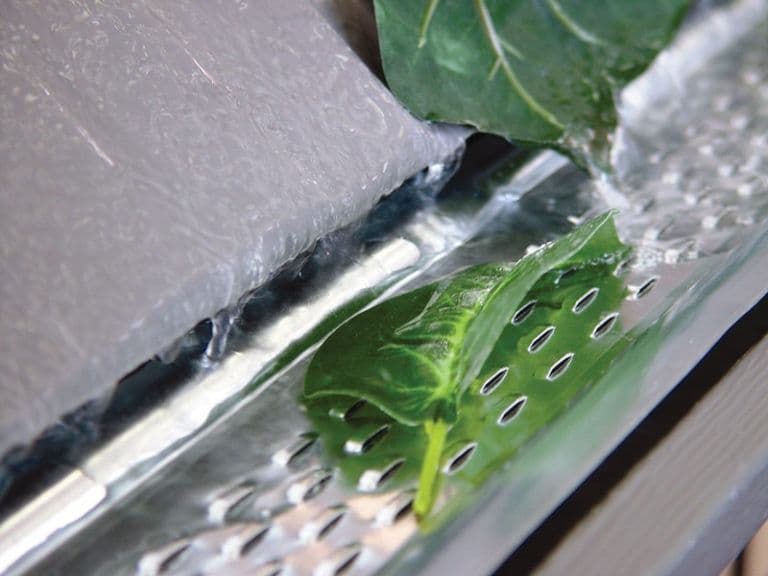 Seedlings growing in a hydroponic gutter system with visible root holes and green leaves emerging from the growing medium